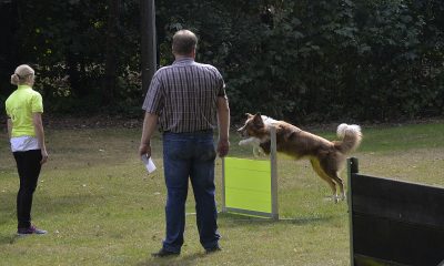 Annett Thisse mit Bobby, Klasse 2, 1. Platz, Sehr Gut mit 232 Punkte