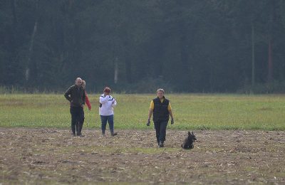 Brigitte und Hawk am letzten Gegenstand