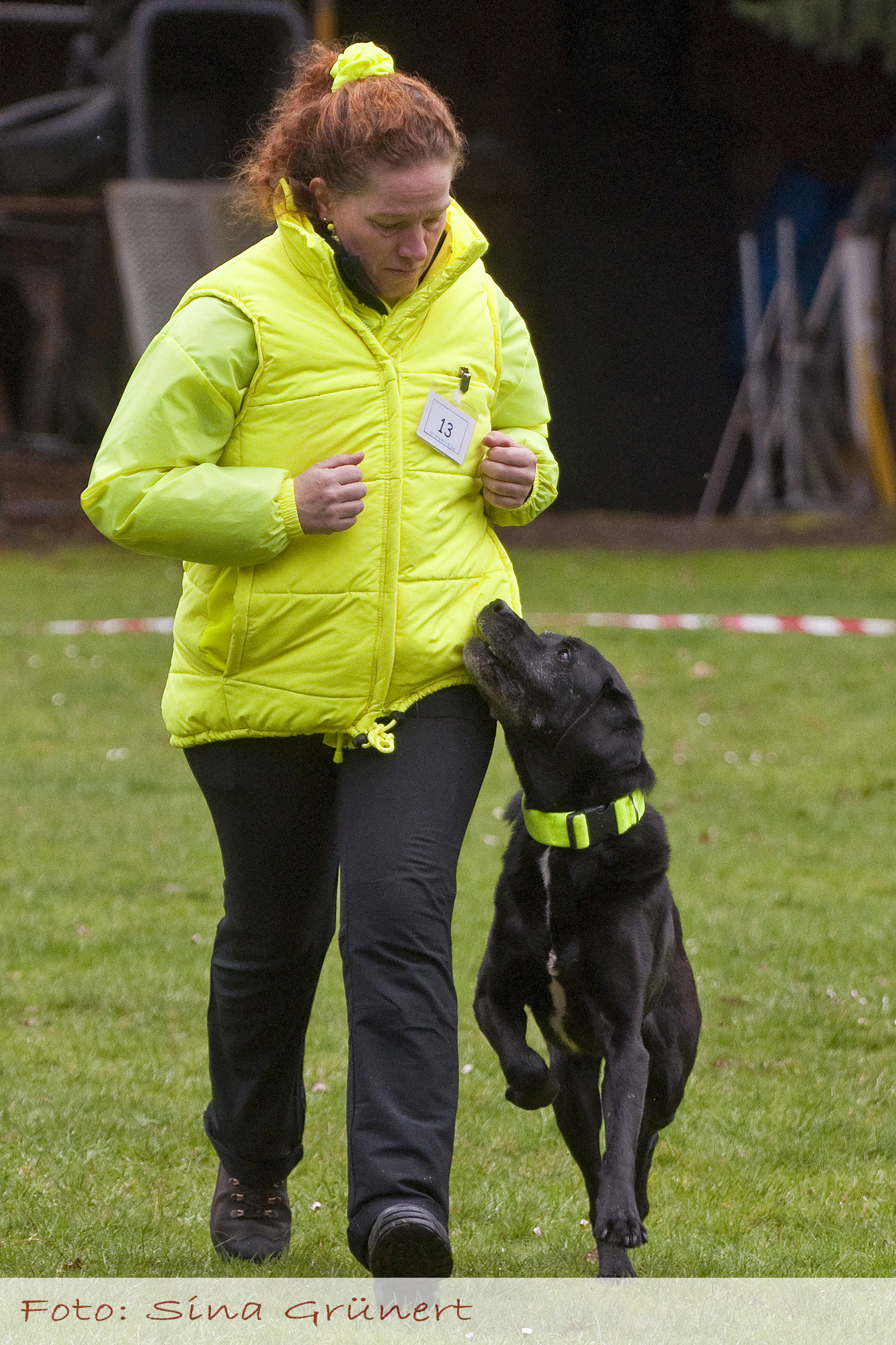 Laufschritt in der Fussarbeit - Mein Engelchen ist einfach ein Traumhund (Foto: Sina Grünert)