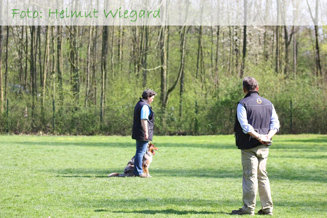 Gaby und Koda in der Fußarbeit (Foto: Helmut Wiegard)