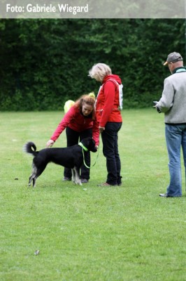 Stehen und Betasten mit Marion und Momo (Foto: Gabriele Wiegard)