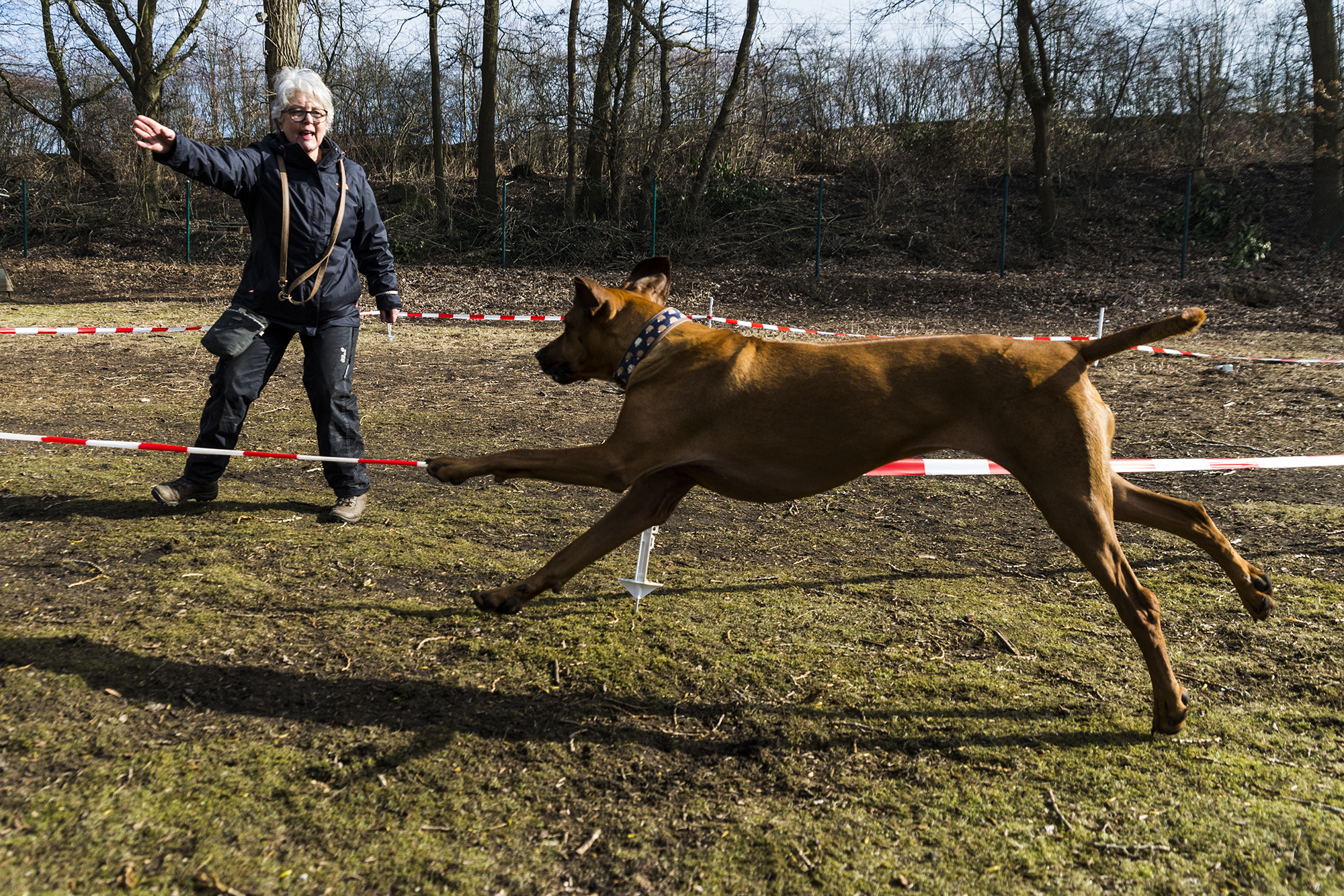 Erste Sonntags-Trainingsstunde bei herrlichem Vorfrühlingswetter