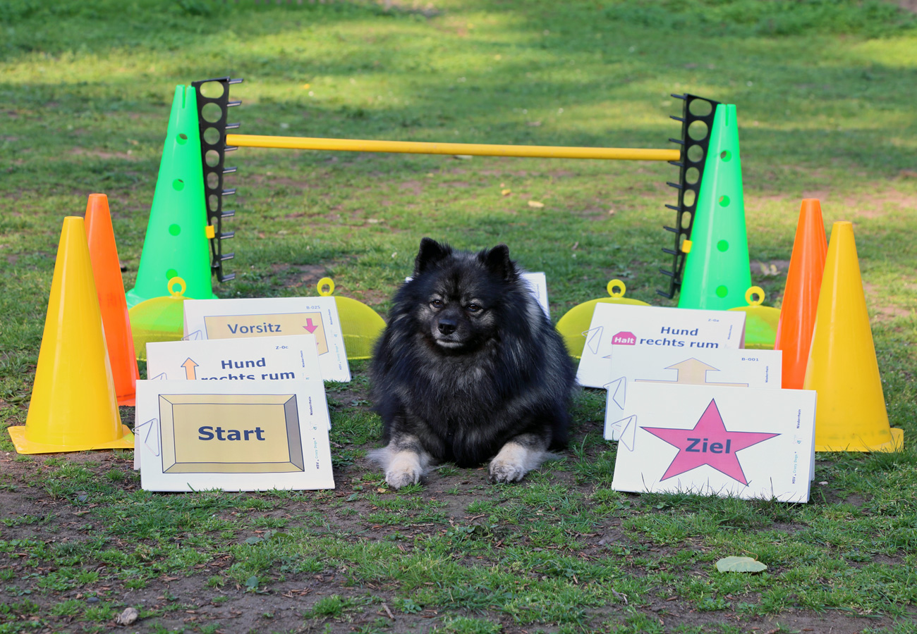 2. Rally-Obedience Turnier am 25.08.2019