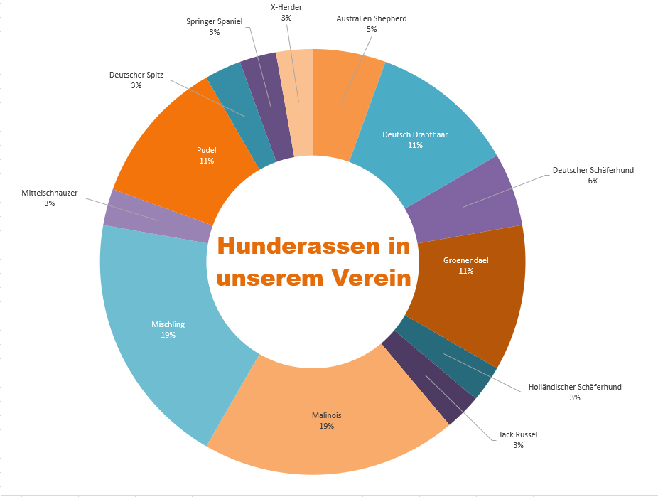 Hunderassen in unserem Verein