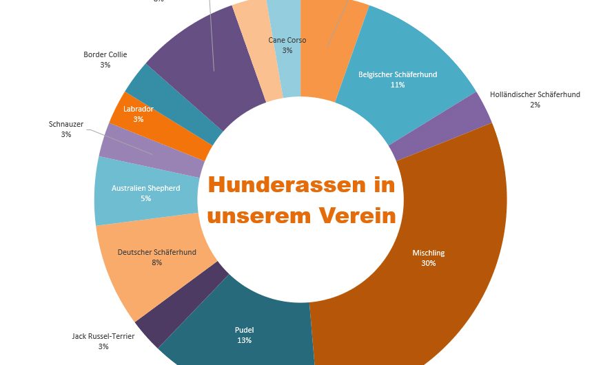 Die verschiedenen Hunderassen in unserem Verein