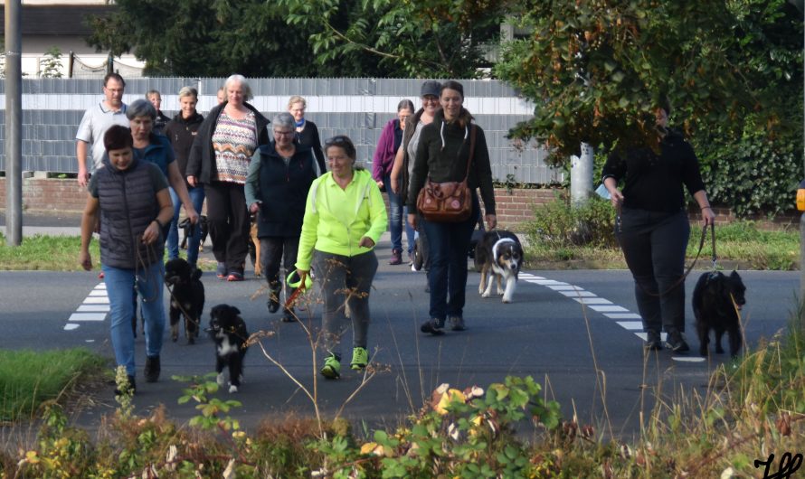 Begleithundeprüfung am 10. April 2022