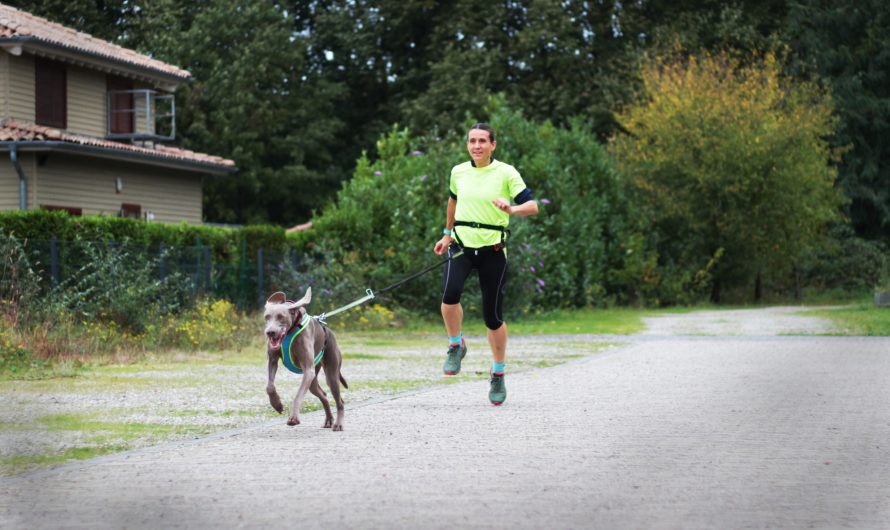 Erfolgreicher Abschluss der Winterlaufserie in Recklinghausen!