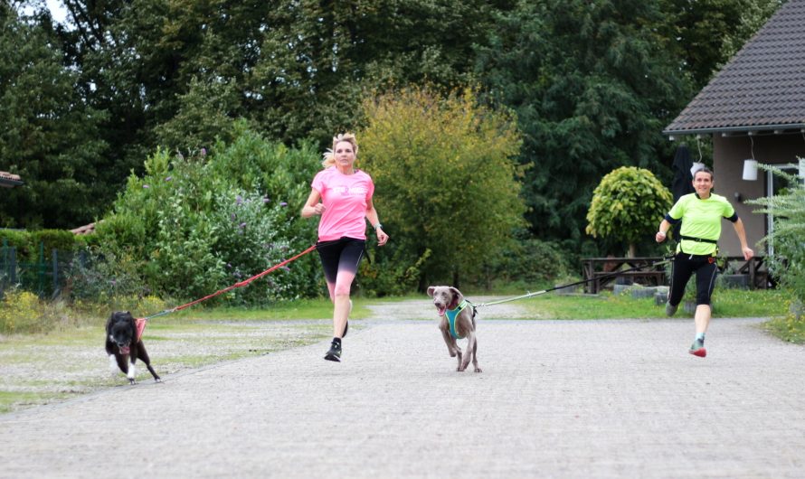 Start beim Geländelauf der Landesmeisterschaft THS