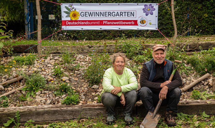 Hurra! Wir gewinnen Platz 3 beim Wettbewerb „Deutschland summt!“