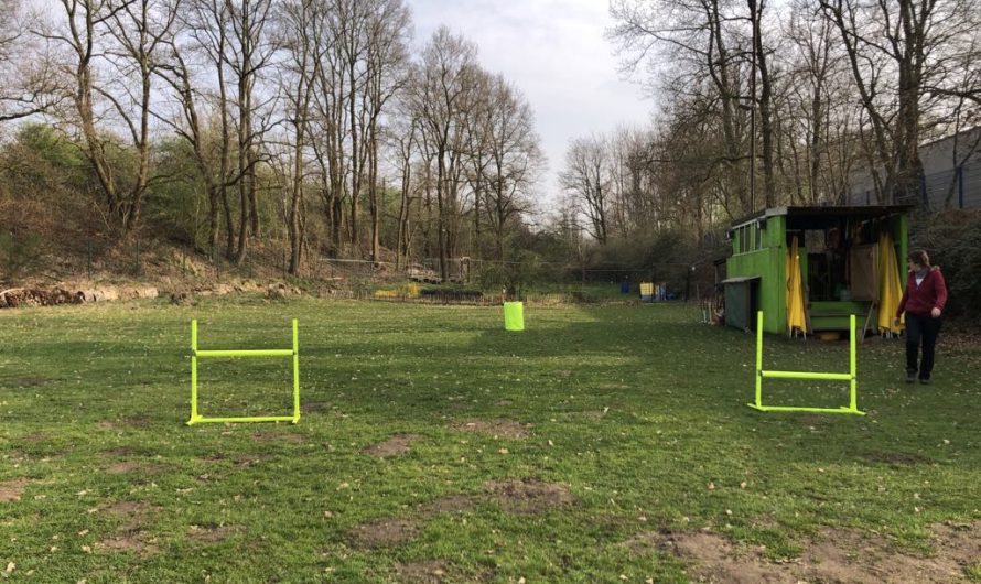!Obedience/Begleithundeprüfung am 01. Juni 2025 – Geändertes Prüfungsdatum!
