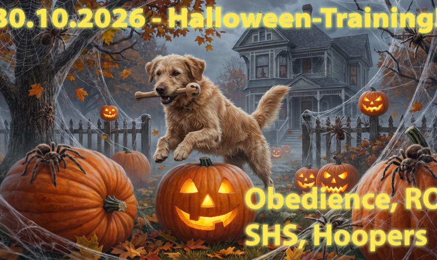 Gruseliges Halloween-Training