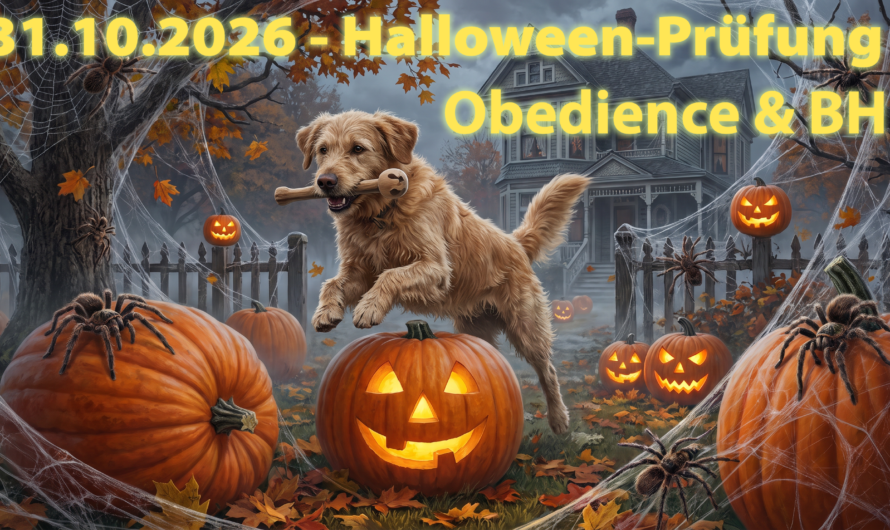 Gruseliges Halloween-Obedience-Turnier mit BH